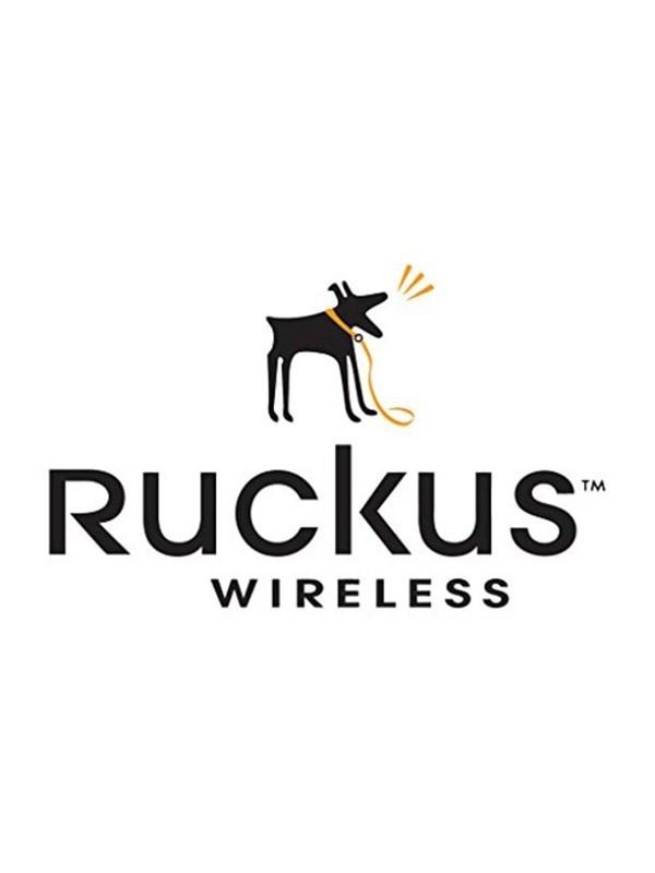 Ruckus Premium Support – Døgnåben netværkshjælp i 1 år